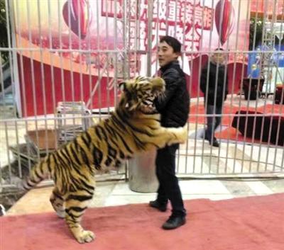 案发前，马戏团团长李荣庆在演出中。受访者供图